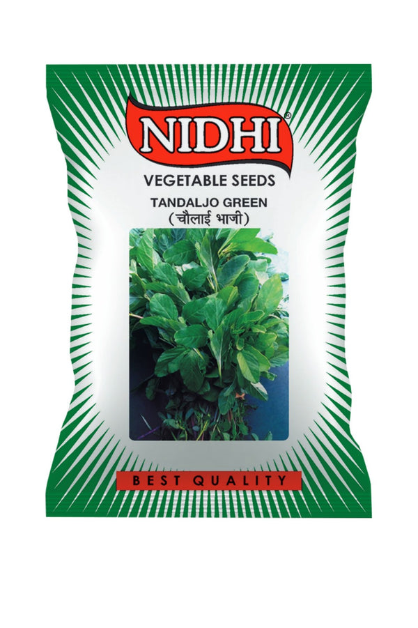 Vegetable seeds (Tandalajo Green) Tested And Packed For Home, Terrace and Kitchen Gardening