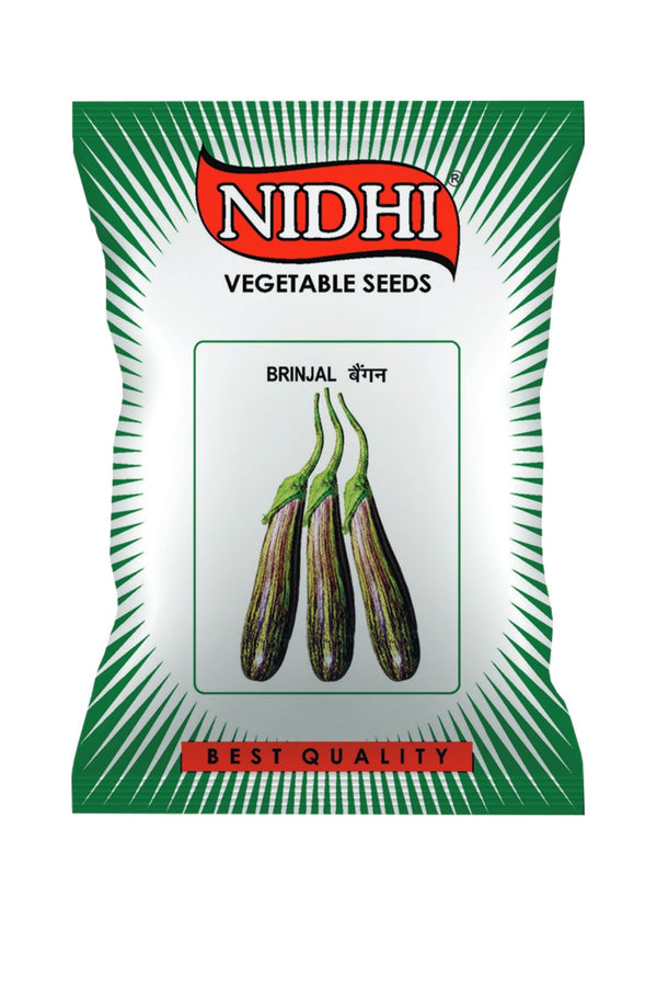 Vegetable seeds (Brinjal) Tested And Packed For Home, Terrace and Kitchen Gardening