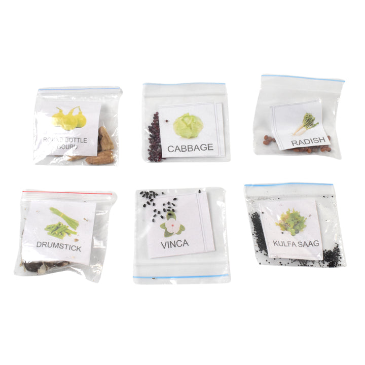 20 Varieties Of Vegetable  Flower Seeds Combo (1 Pkt.  20 Varieties) - Trendex