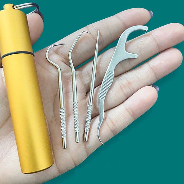 Portable Metal Toothpick Cleaner Set
