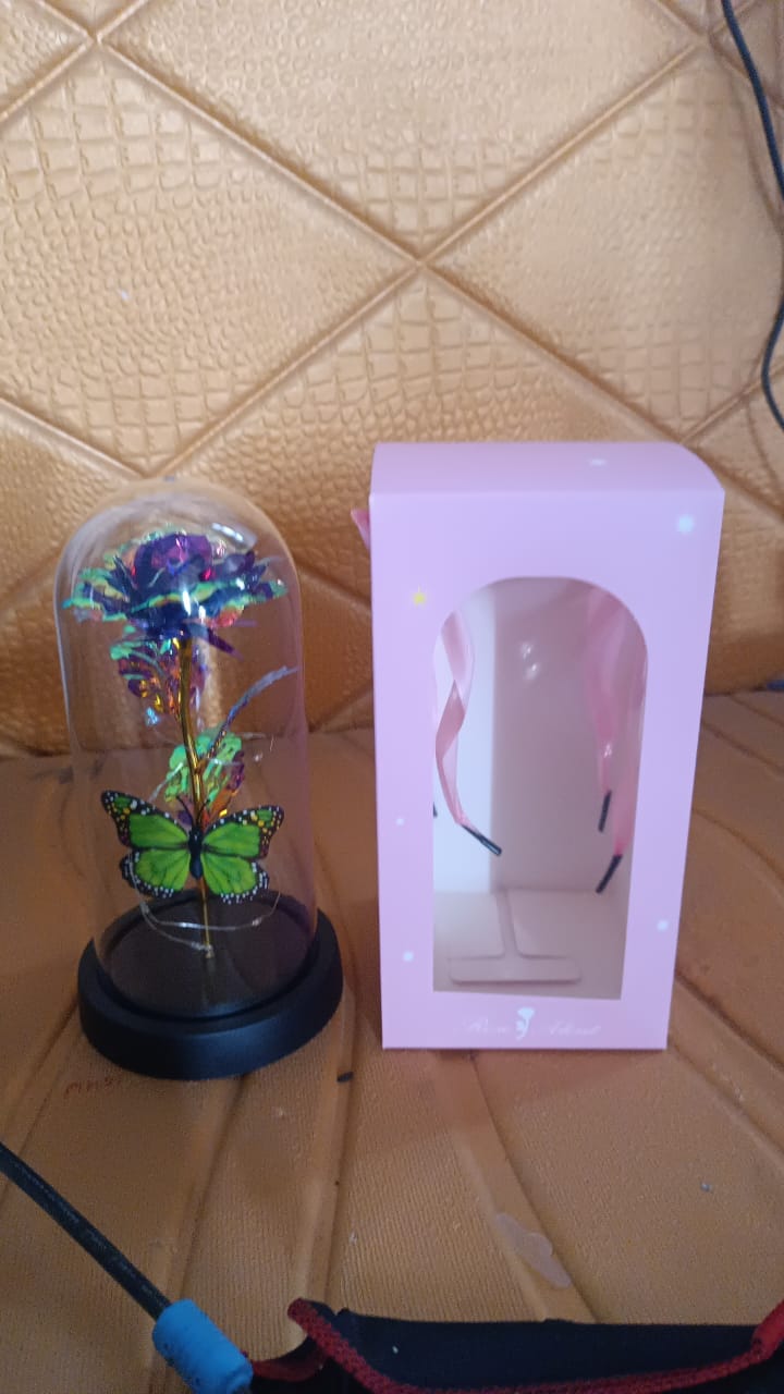 Led Preserved Rose With Colorful Butterfly In Plastic Dome (1 Pc  Mix Color) - Trendex