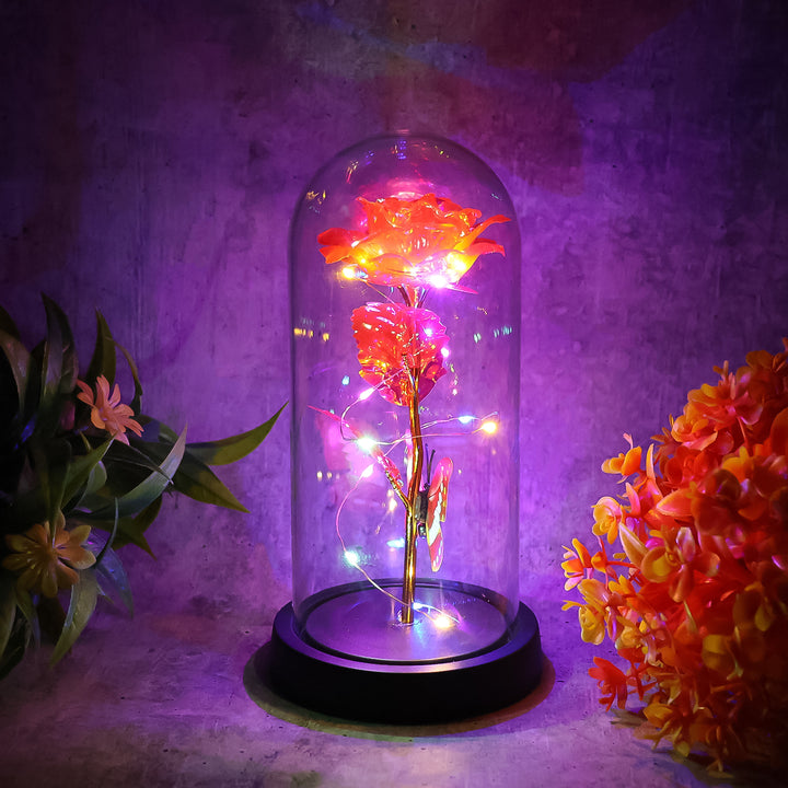 Elegant Led Eternal Rose In Plastic Dome (1 Pc  Battery Not Included) - Trendex