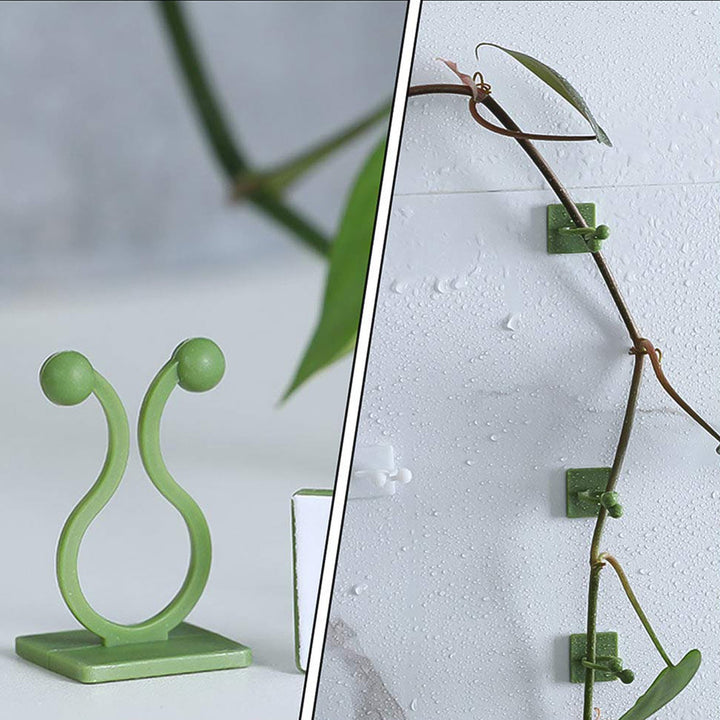 Plant Climbing Wall Fixture Clip Self-adhesive Hook (40 Pcs Set  With Plastic Box) - Trendex