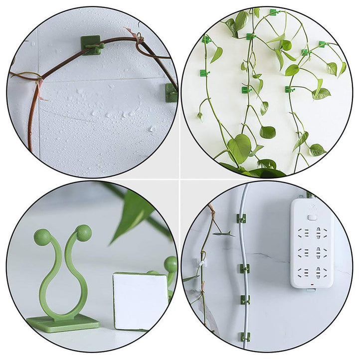Plant Climbing Wall Fixture Clip Self-adhesive Hook (40 Pcs Set  With Plastic Box) - Trendex
