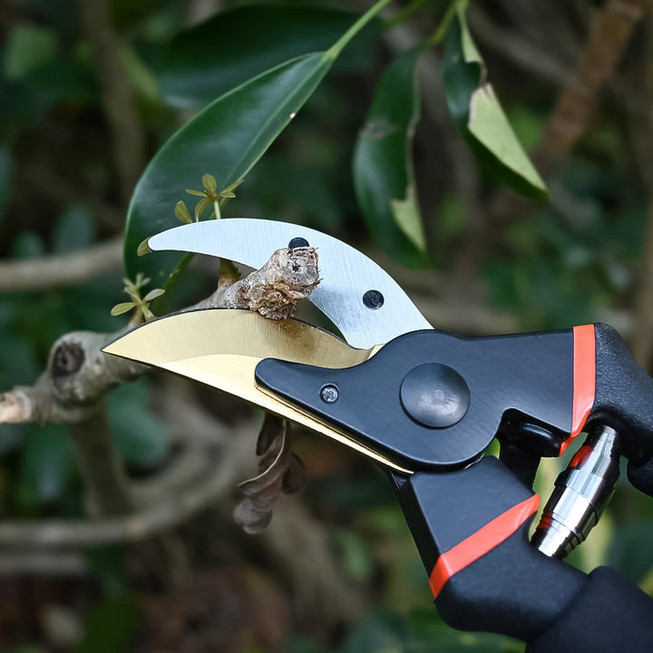 Heavy Duty Garden Pruning Shears (1 Pc) - Trendex