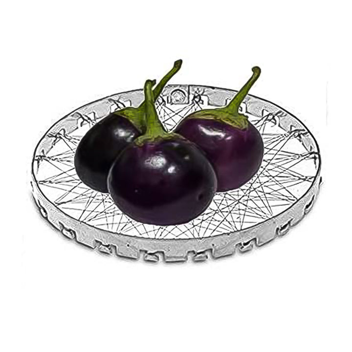 Stainless Steel Grill Jalli Chota Tandoor - Trendex