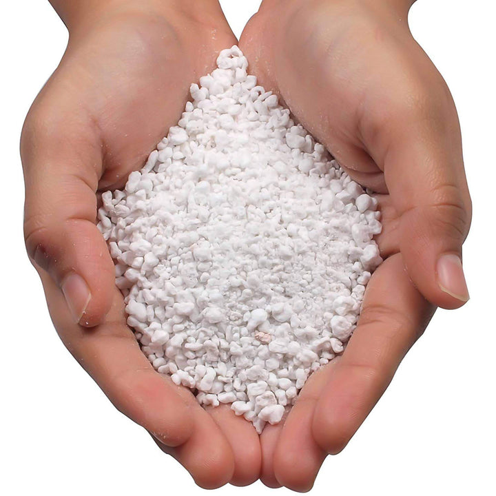 Paradise Perlite For Hydroponics Amp Horticulture Terrace Gardening Soil Conditioner (250 Gm) - Trendex