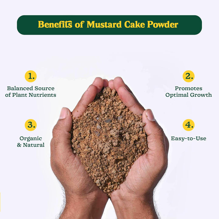 Mustard Cake Fertilizer For Plants 900gm - Trendex