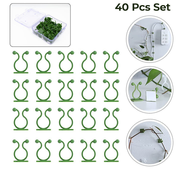 Plant Climbing Wall Fixture Clip Self-adhesive Hook (40 Pcs Set  With Plastic Box) - Trendex