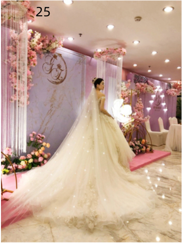 Bridal Wedding Dress Long Tail Luxury Super Fairy Wedding Veil - Trendex