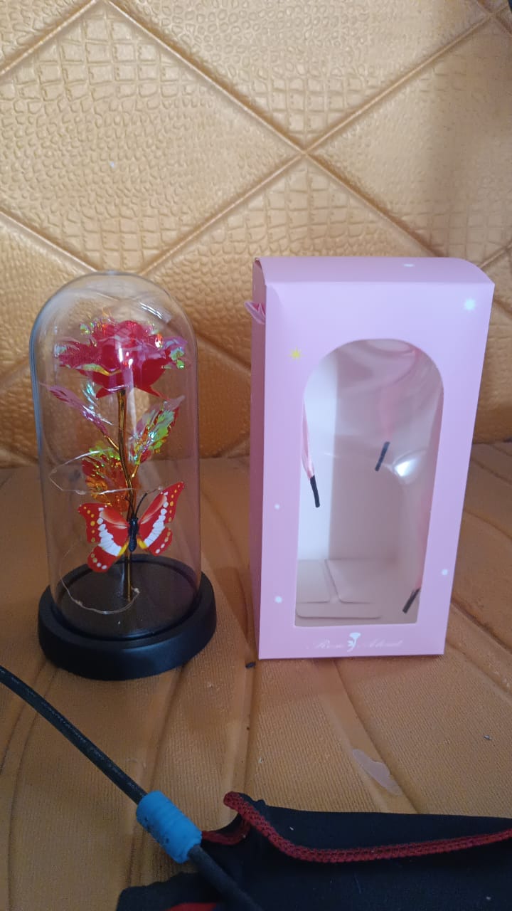 Elegant Led Eternal Rose In Plastic Dome (1 Pc  Battery Not Included) - Trendex