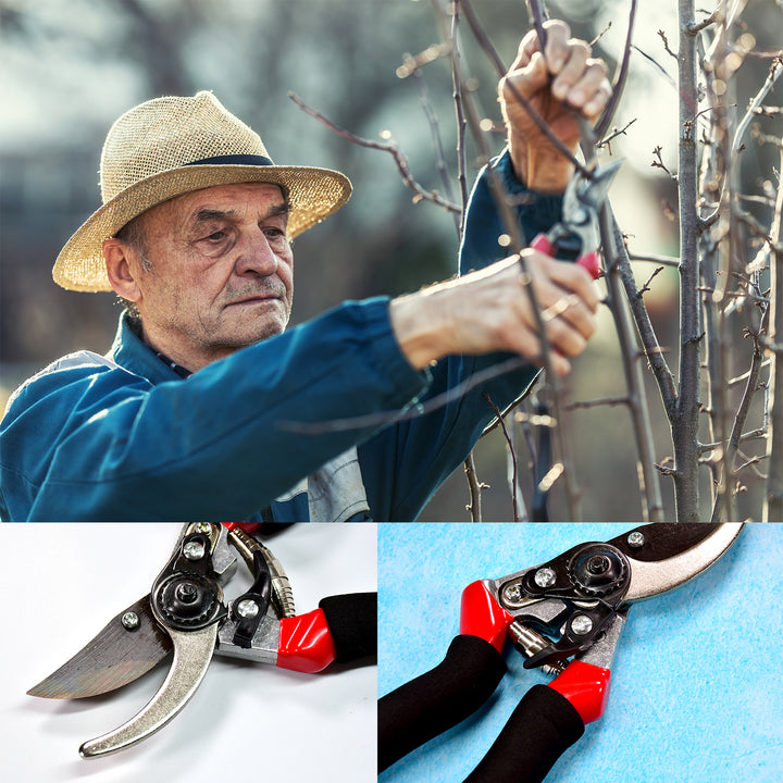 9082 21cm Red Garden Shears Sharp Cutter Pruners Scissor Pruner. - Trendex