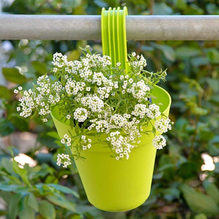 3850 Plastic Hanging Planter Pot Multicolour - Trendex