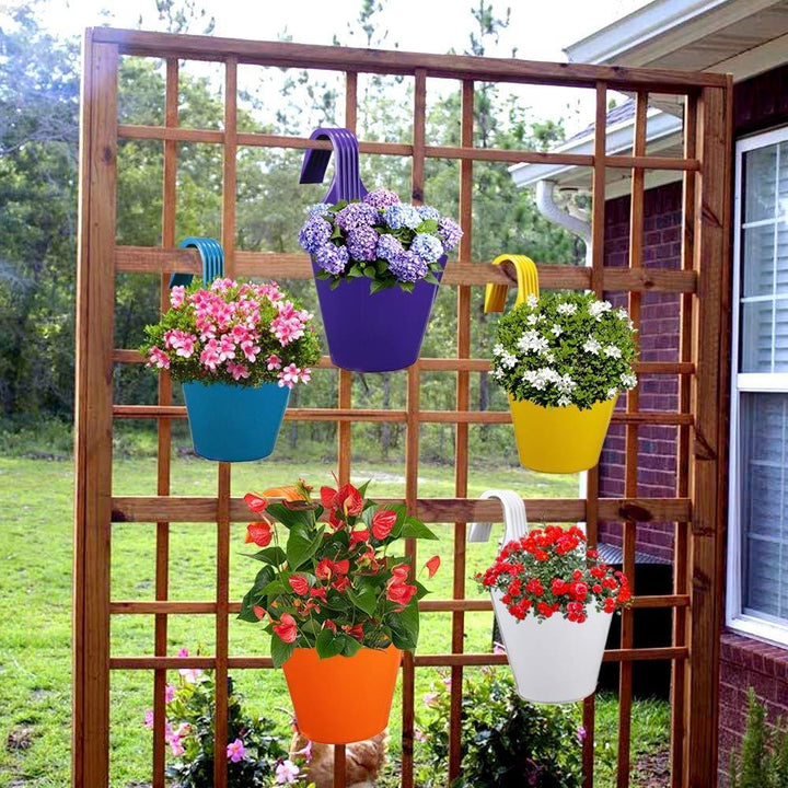 3850 Plastic Hanging Planter Pot Multicolour - Trendex