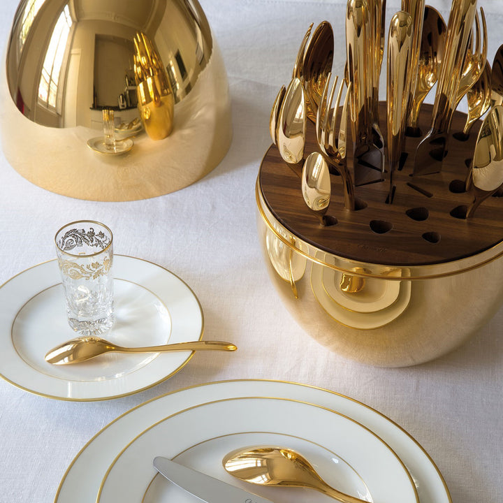 10010 Premium Cutlery Set 24 Pcs With Oval Shaped Stand  Beautiful Stylish Oval Designed Cutlery Sets Egg-shaped Luxury Spoon Holder Set (Golden  24 Pcs Set) - Trendex